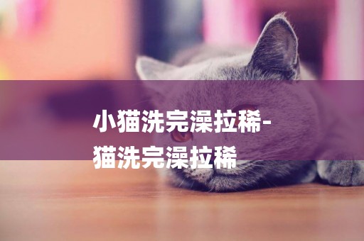 小貓洗完澡拉稀-
貓洗完澡拉稀
