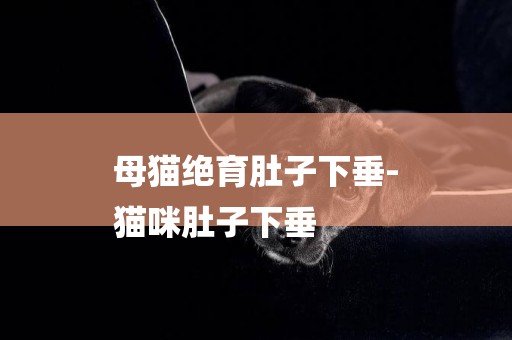 母貓絕育肚子下垂-
貓咪肚子下垂