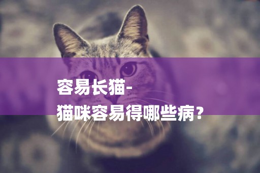 容易長貓-
貓咪容易得哪些病？