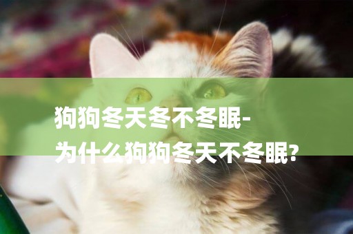 狗狗冬天冬不冬眠-
為什么狗狗冬天不冬眠?