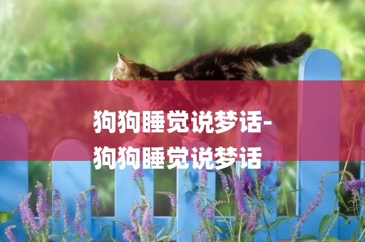 狗狗睡覺說夢話-
狗狗睡覺說夢話