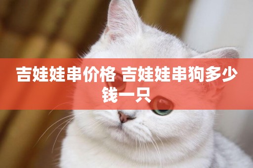 吉娃娃串價格 吉娃娃串狗多少錢一只