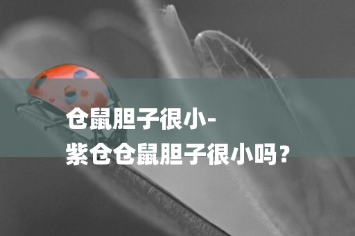 倉鼠膽子很小-
紫倉倉鼠膽子很小嗎？
