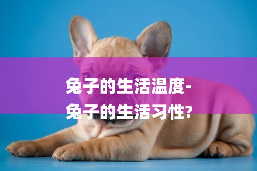 兔子的生活溫度-
兔子的生活習性?