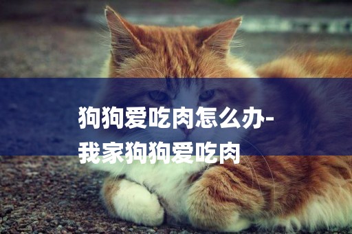 狗狗愛吃肉怎么辦-
我家狗狗愛吃肉