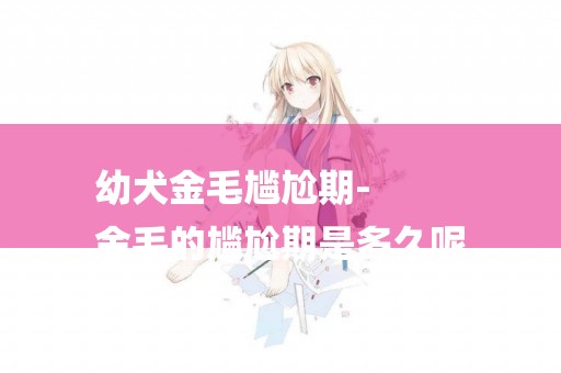 幼犬金毛尷尬期-
金毛的尷尬期是多久呢