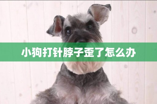 小狗打針脖子歪了怎么辦