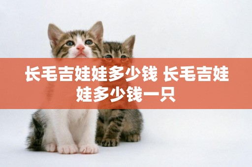長毛吉娃娃多少錢 長毛吉娃娃多少錢一只