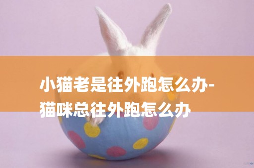 小貓老是往外跑怎么辦-
貓咪總往外跑怎么辦