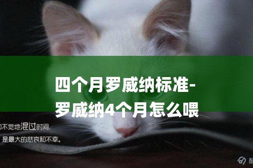 四個月羅威納標準-
羅威納4個月怎么喂