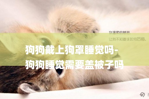 狗狗戴上狗罩睡覺嗎-
狗狗睡覺需要蓋被子嗎