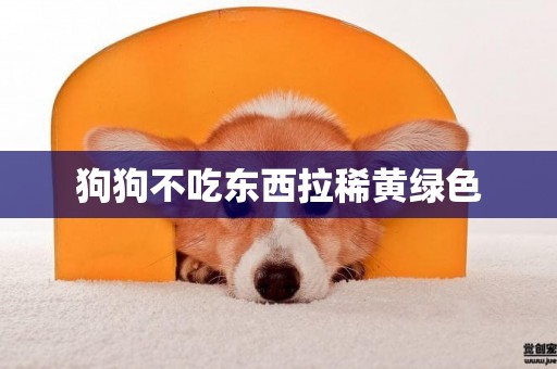狗狗不吃東西拉稀黃綠色