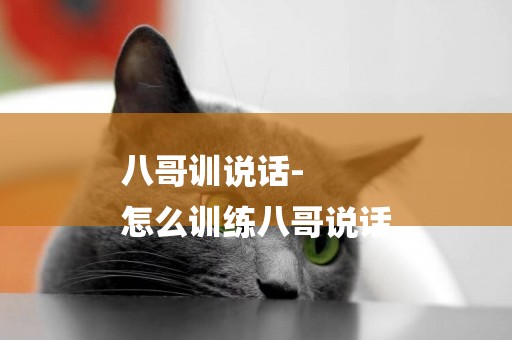 八哥訓說話-
怎么訓練八哥說話