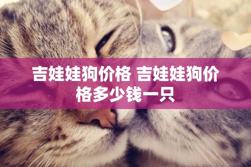 吉娃娃狗價格 吉娃娃狗價格多少錢一只
