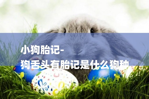 小狗胎記-
狗舌頭有胎記是什么狗種