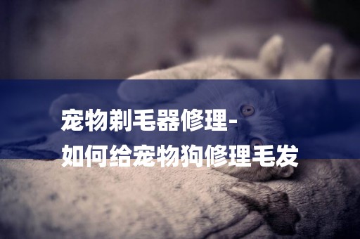 寵物剃毛器修理-
如何給寵物狗修理毛發