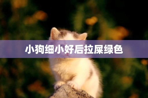 小狗細小好后拉屎綠色