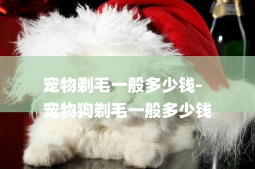 寵物剃毛一般多少錢-
寵物狗剃毛一般多少錢