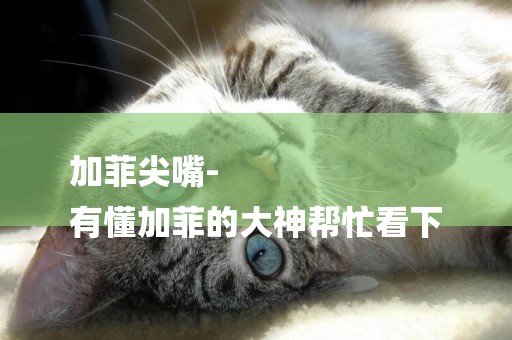 加菲尖嘴-
有懂加菲的大神幫忙看下