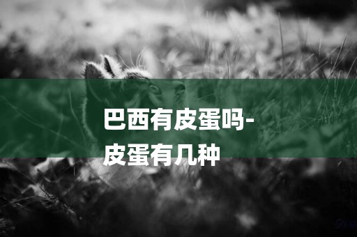 巴西有皮蛋嗎-
皮蛋有幾種