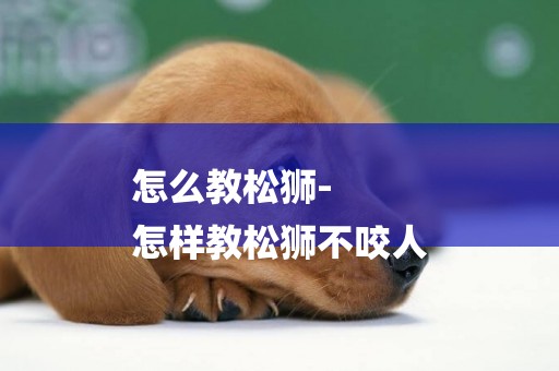 怎么教松獅-
怎樣教松獅不咬人