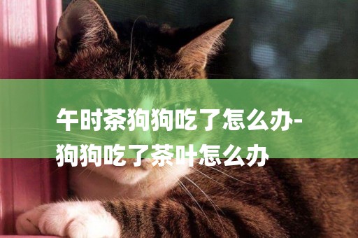 午時茶狗狗吃了怎么辦-
狗狗吃了茶葉怎么辦