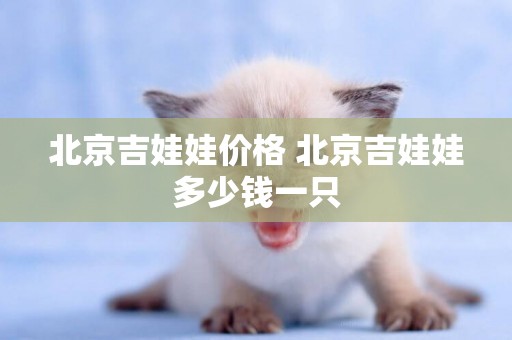 北京吉娃娃價格 北京吉娃娃多少錢一只