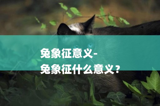 兔象征意義-
兔象征什么意義？