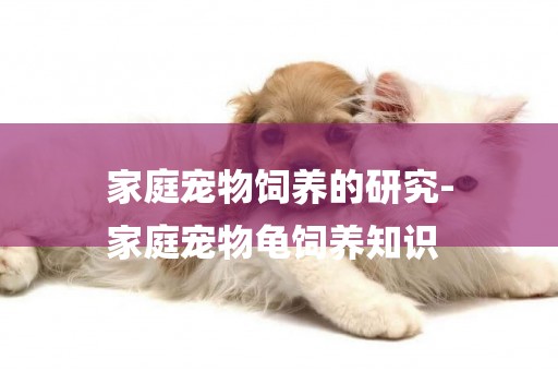 家庭寵物飼養的研究-
家庭寵物龜飼養知識