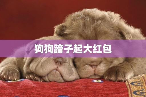 狗狗蹄子起大紅包