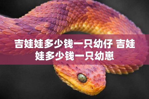 吉娃娃多少錢一只幼仔 吉娃娃多少錢一只幼崽