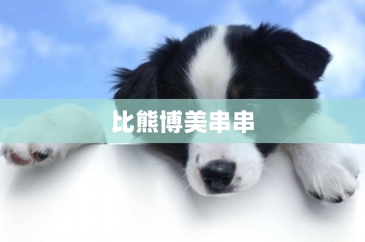 比熊博美串串