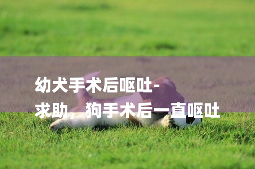 幼犬手術后嘔吐-
求助，狗手術后一直嘔吐
