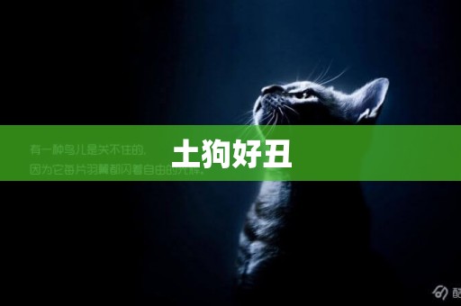 土狗好丑