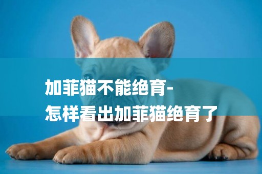 加菲貓不能絕育-
怎樣看出加菲貓絕育了