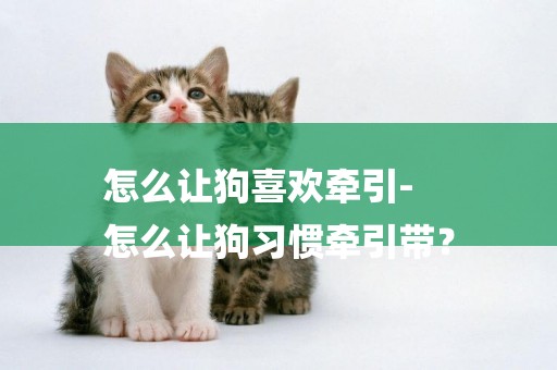 怎么讓狗喜歡牽引-
怎么讓狗習慣牽引帶？