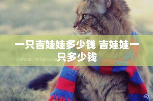 一只吉娃娃多少錢 吉娃娃一只多少錢