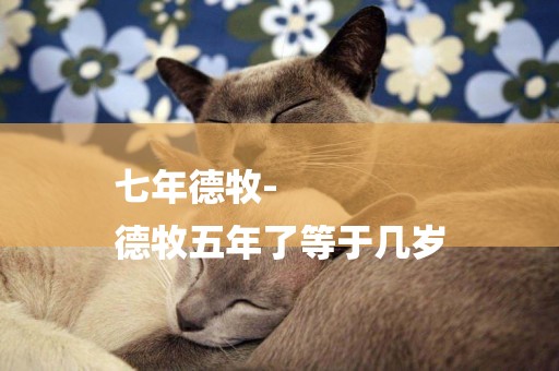 七年德牧-
德牧五年了等于幾歲