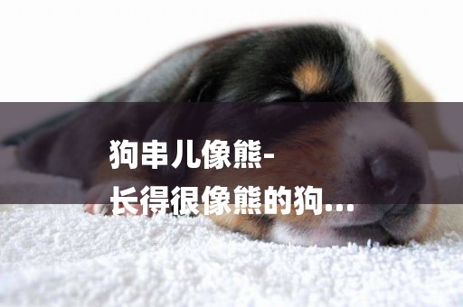 狗串兒像熊-
長得很像熊的狗…