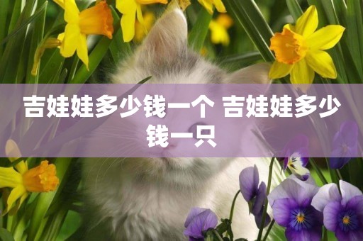 吉娃娃多少錢一個 吉娃娃多少錢一只