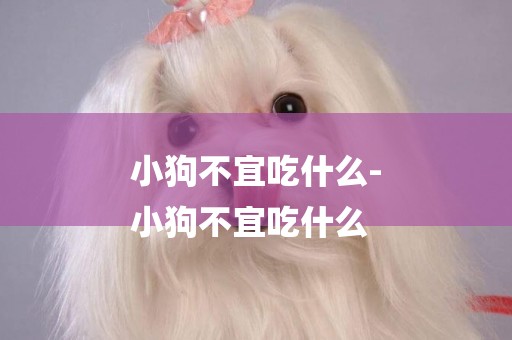 小狗不宜吃什么-
小狗不宜吃什么
