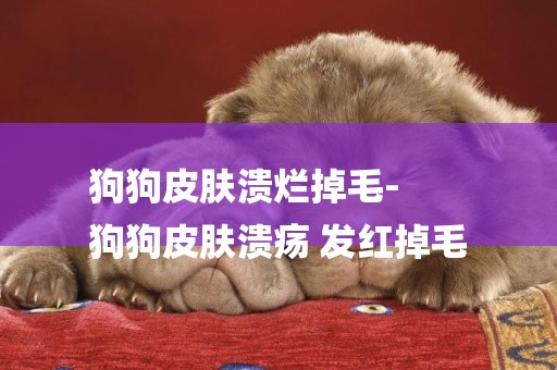狗狗皮膚潰爛掉毛-
狗狗皮膚潰瘍 發紅掉毛