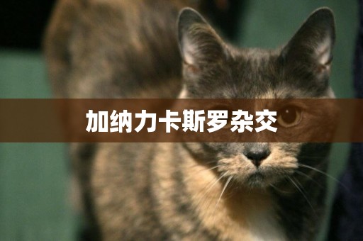 加納力卡斯羅雜交