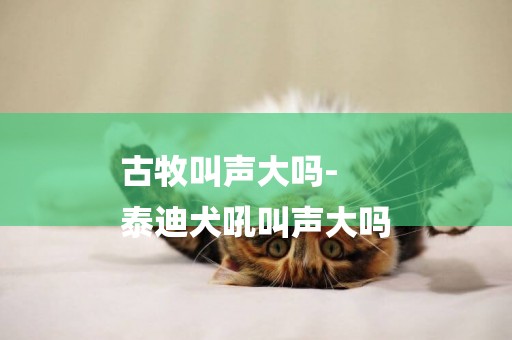 古牧叫聲大嗎-
泰迪犬吼叫聲大嗎