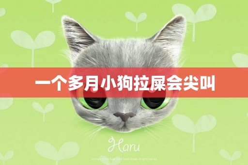 一個多月小狗拉屎會尖叫