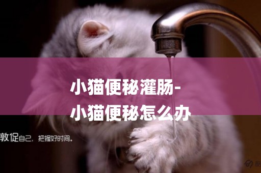 小貓便秘灌腸-
小貓便秘怎么辦