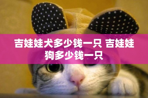 吉娃娃犬多少錢一只 吉娃娃狗多少錢一只