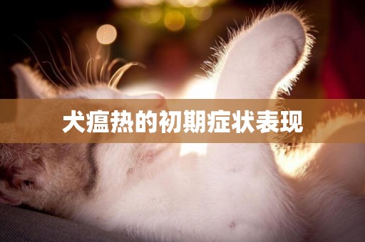 犬瘟熱的初期癥狀表現