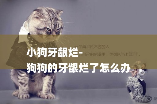 小狗牙齦爛-
狗狗的牙齦爛了怎么辦