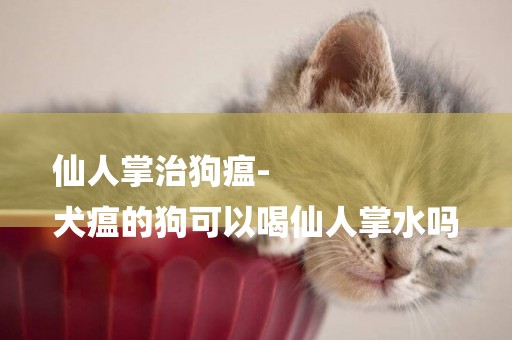 仙人掌治狗瘟-
犬瘟的狗可以喝仙人掌水嗎
